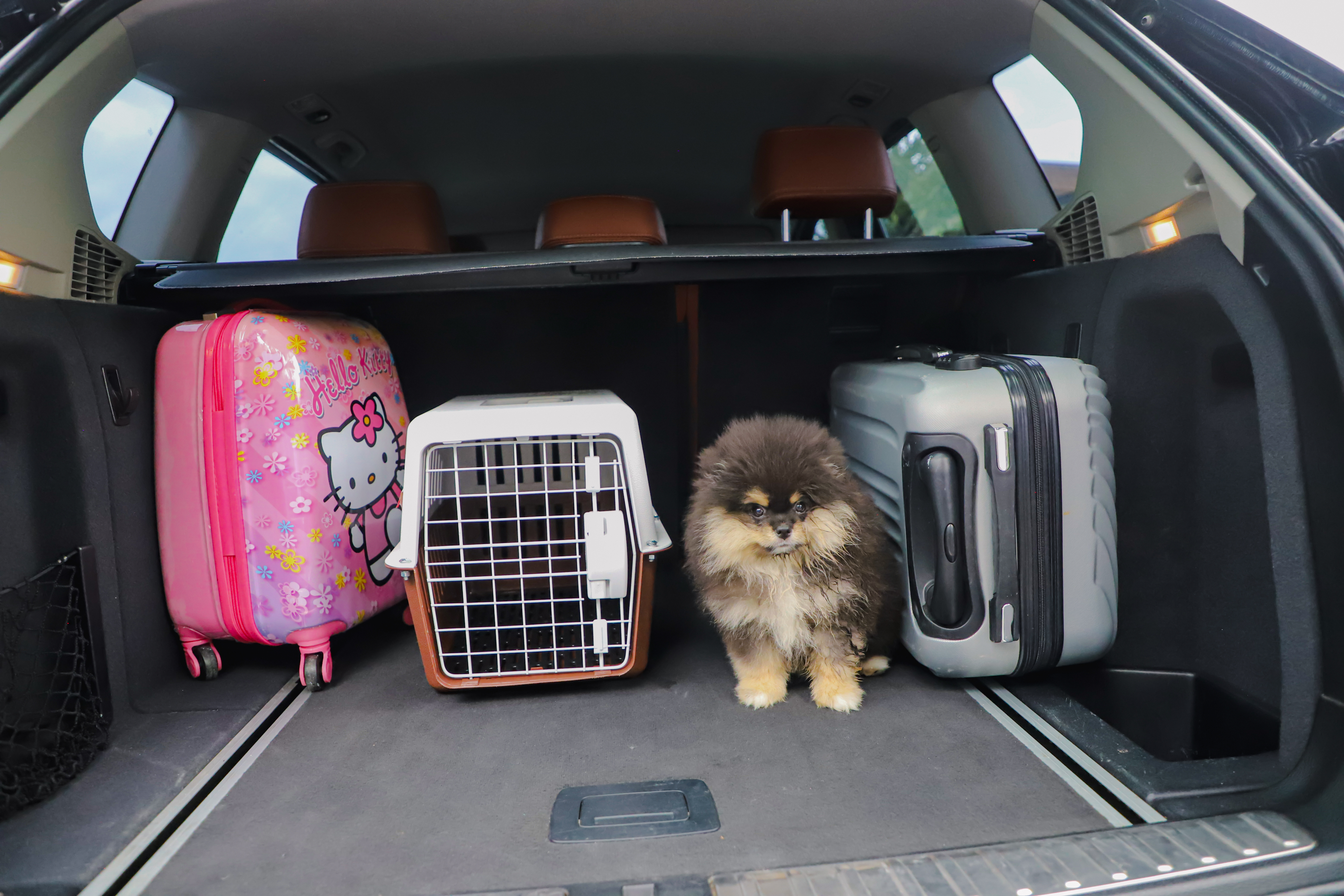 คลังรูป